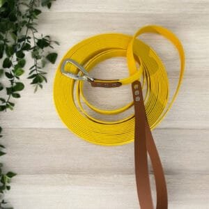 Longes poignée fixe